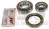 IVECO 26800140 Wheel Bearing Kit